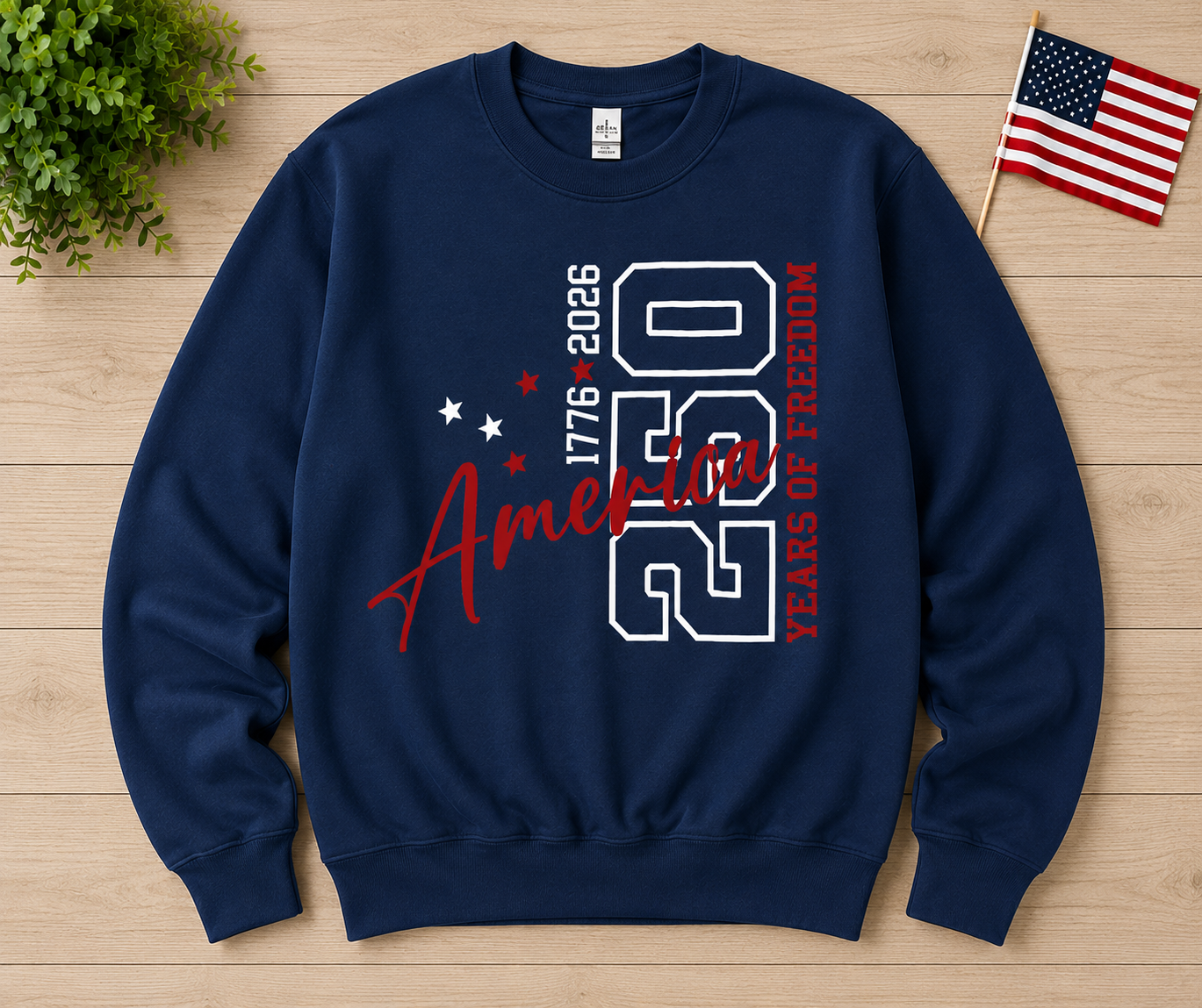 America 250 Sweatshirt or Tshirt
