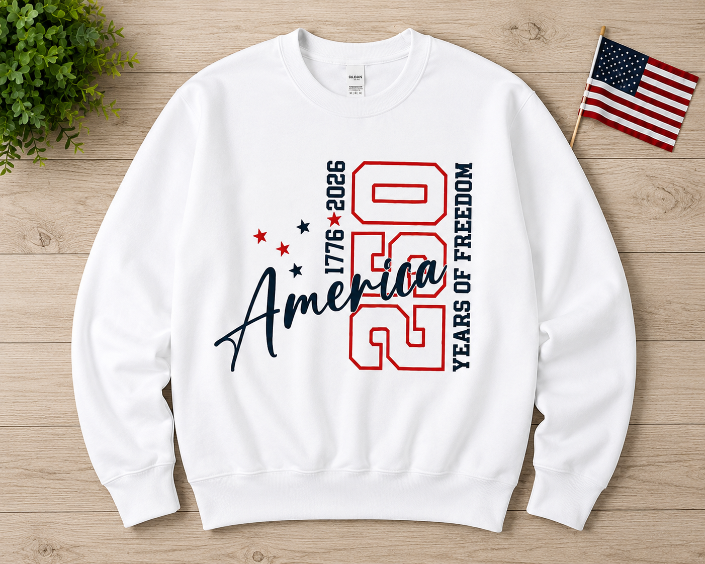 America 250 Sweatshirt or Tshirt